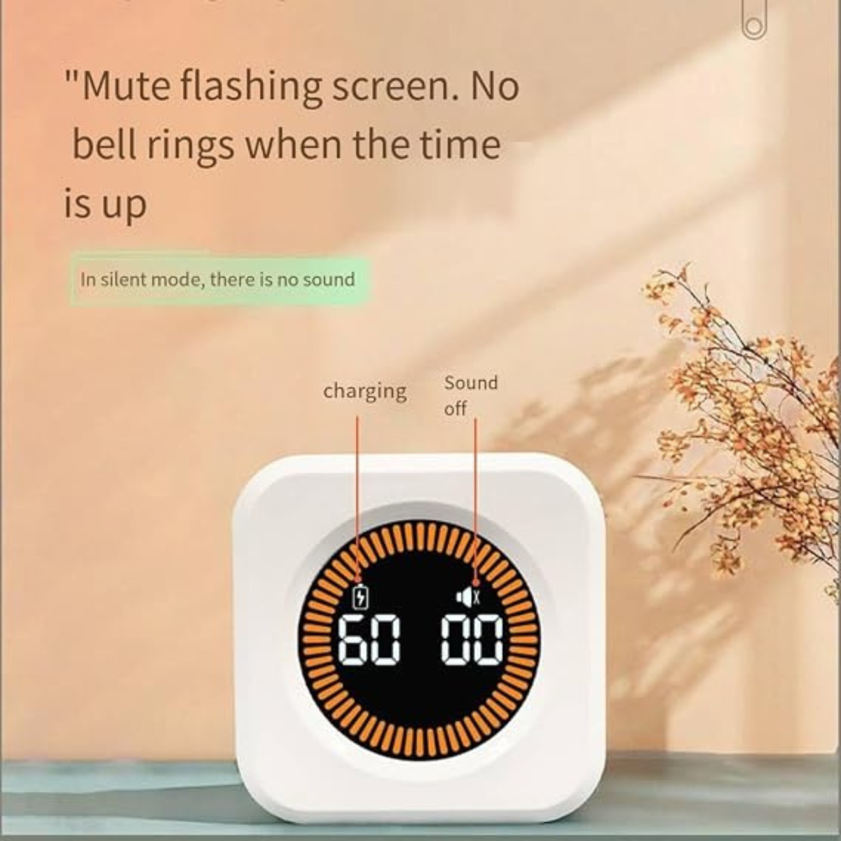 Smart Visual Timer