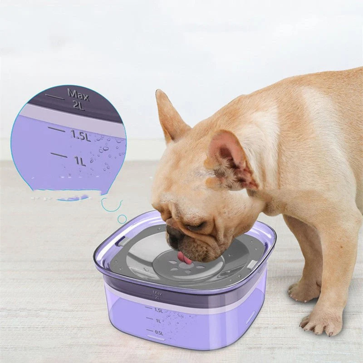 Floating Water Bowl