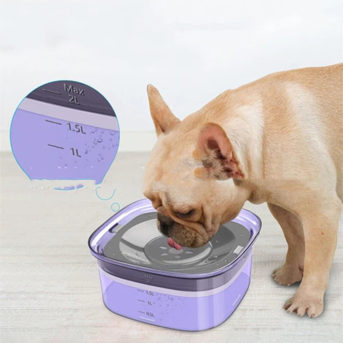 Floating Water Bowl