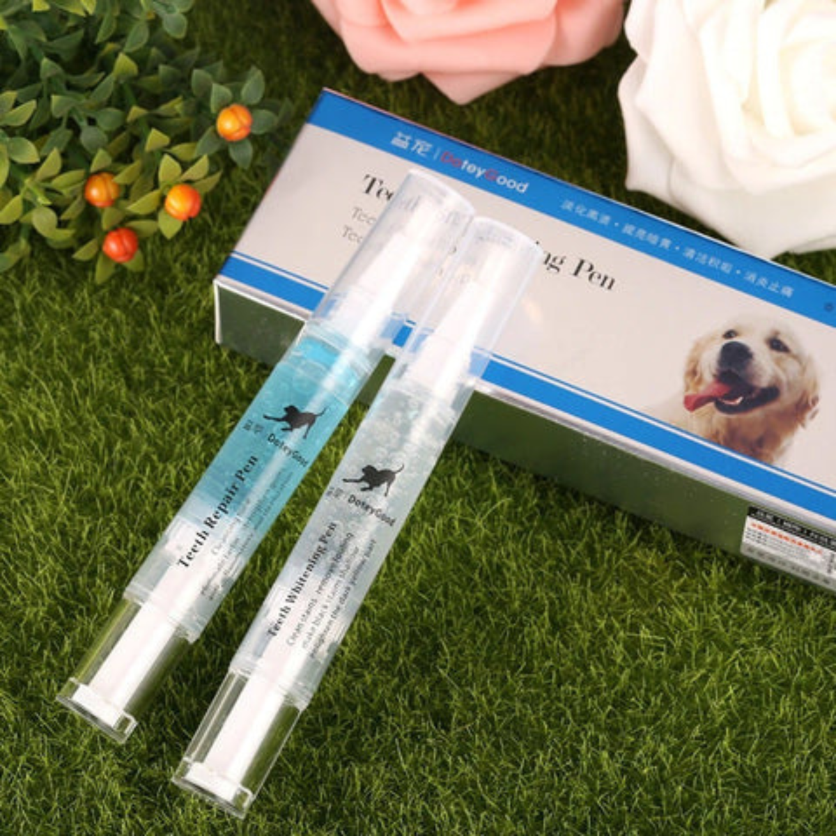 Teeth Repairing Kit