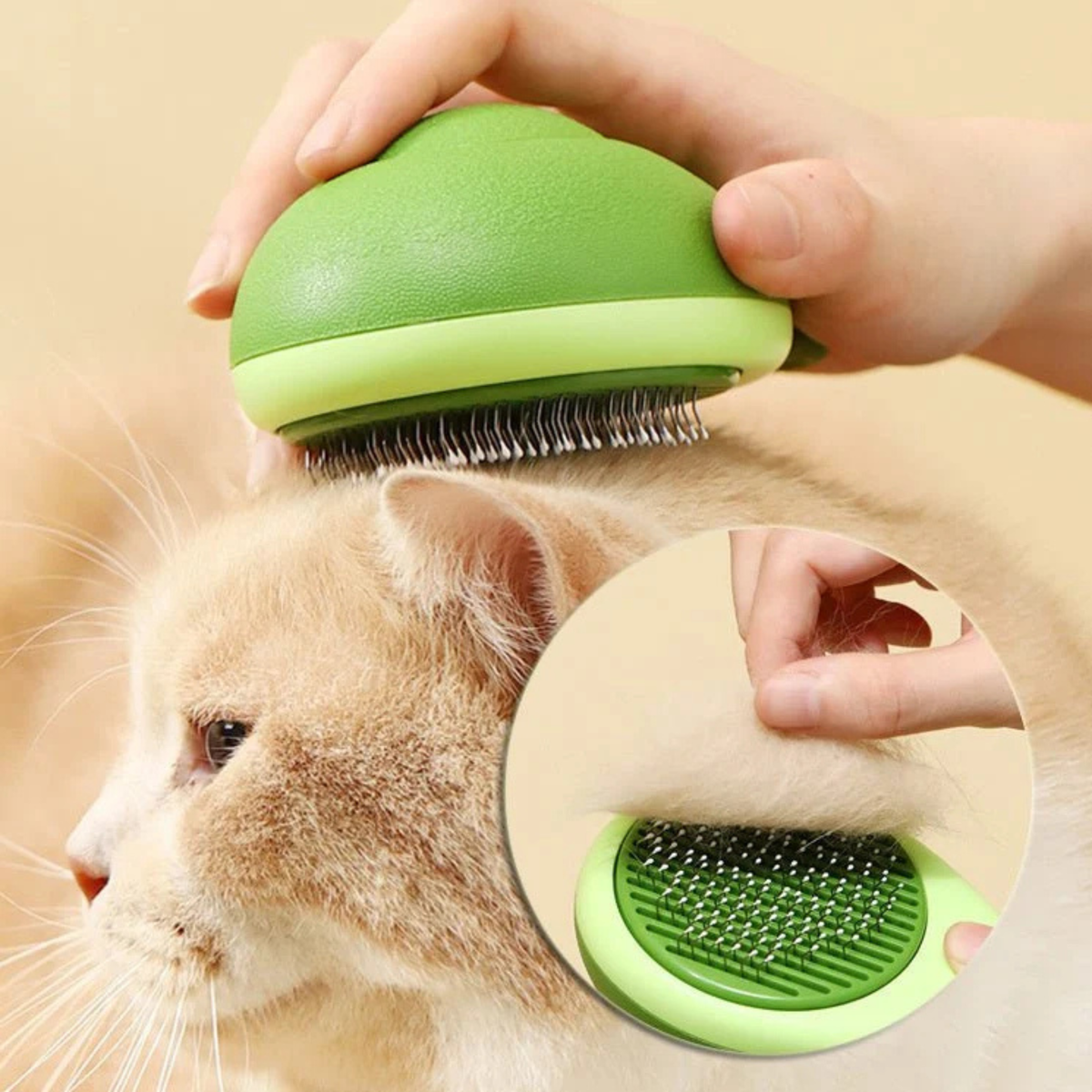 Brush Hair Remover