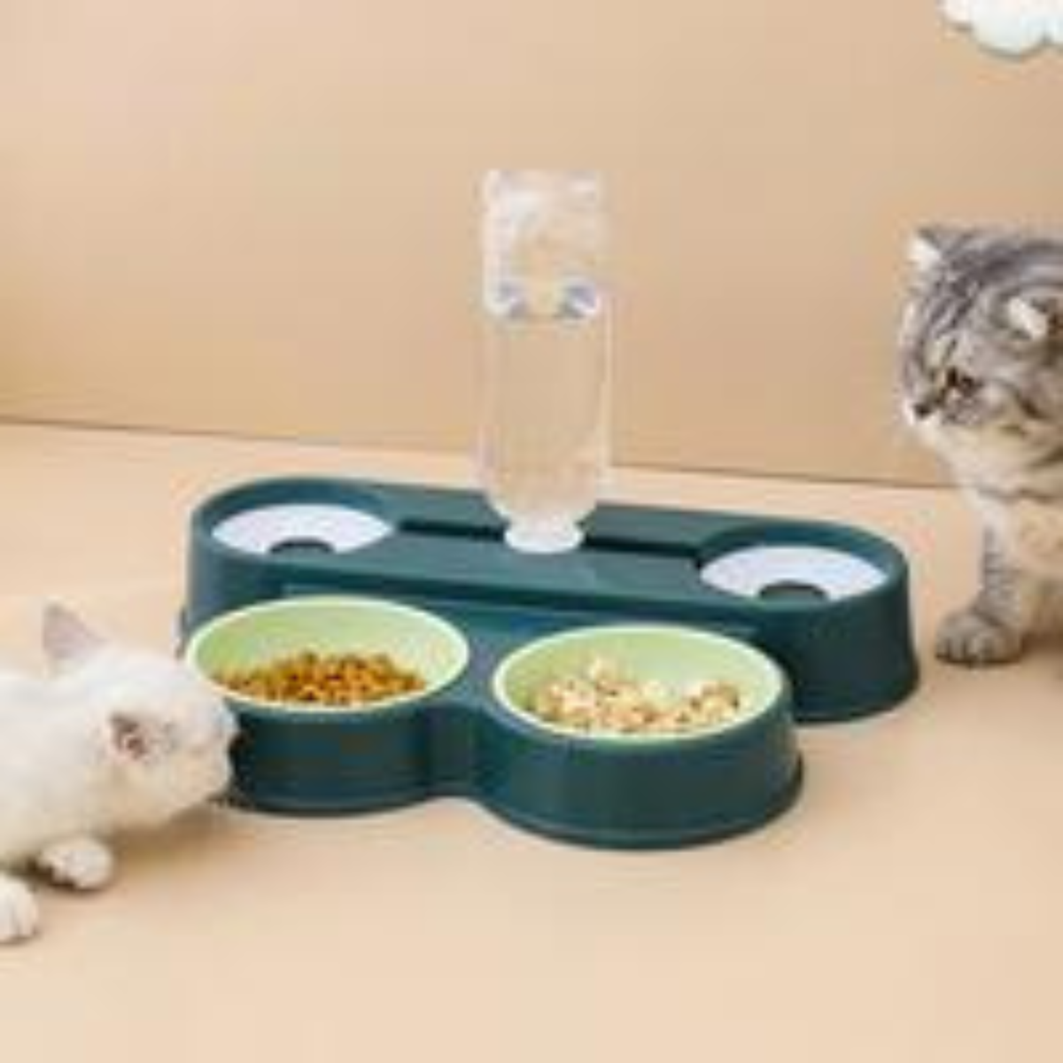 Dual Feeding Bowl