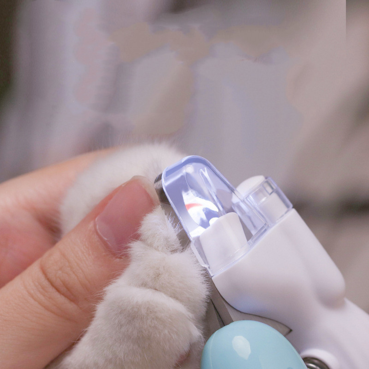 LED Nail Clippers