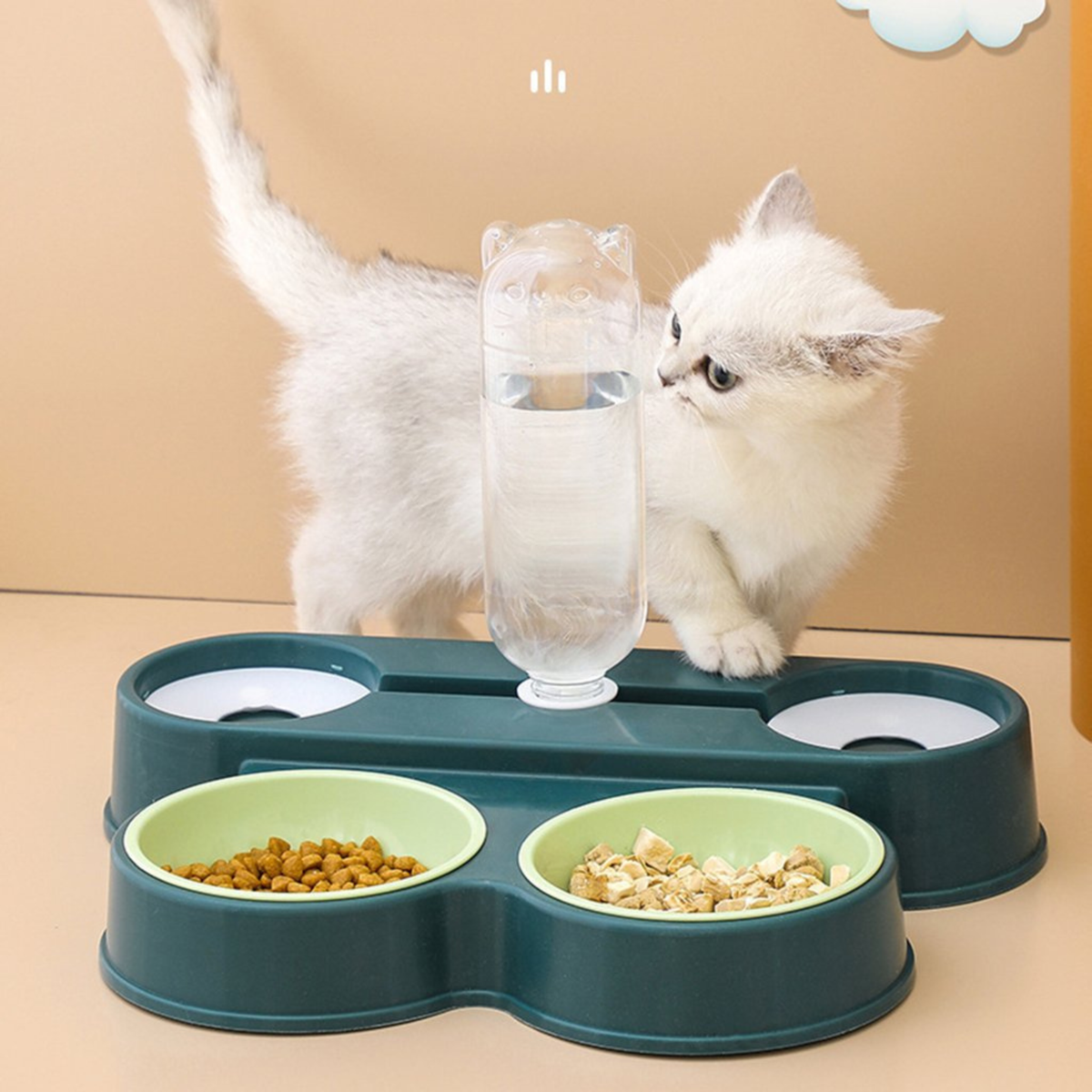 Dual Feeding Bowl